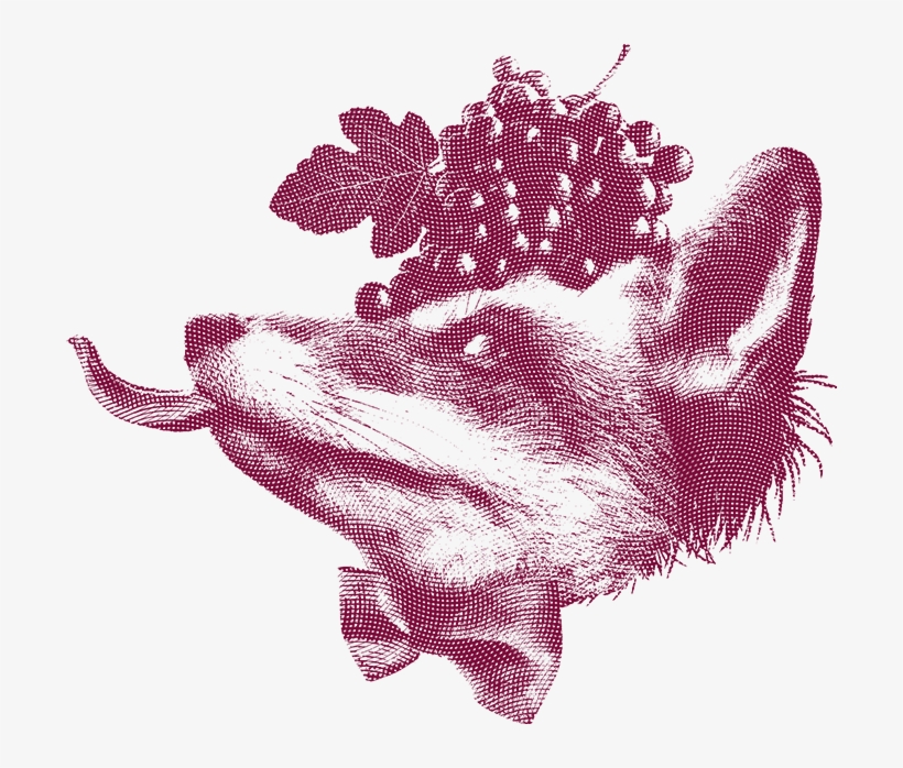 Lama La Uva Sevilla, transparent png #4528274