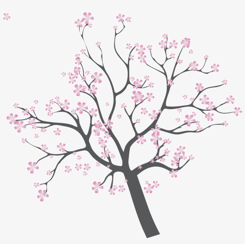 Sunset Illustration Branches Transprent - Cherry Blossom, transparent png #4528383