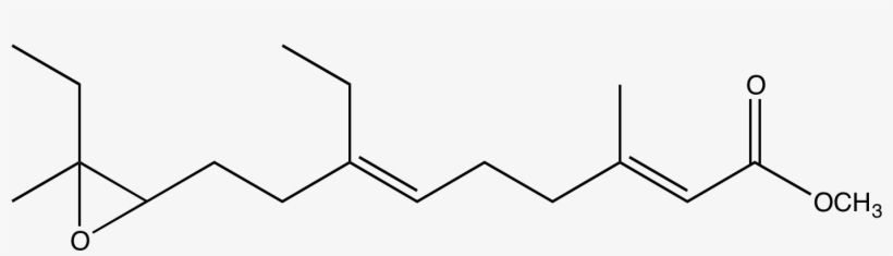 Synthesis - Juvenile Hormone 1, transparent png #4528532