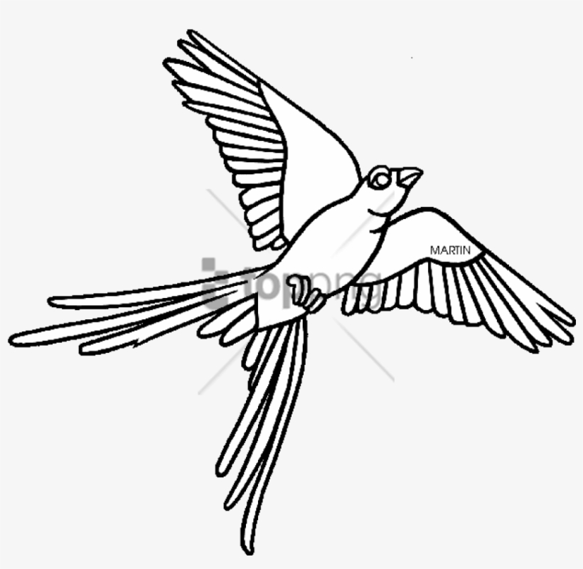 Oklahoma State Bird Clipart Oklahoma State University - Oklahoma State Bird Drawing, transparent png #4529152