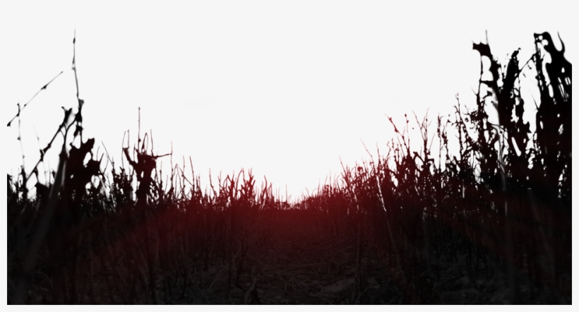 0 - 5 0 - 8 1 - 0 1 - - Field, transparent png #4531226