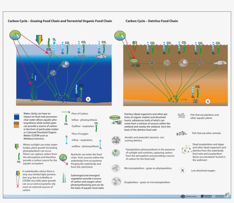 22 March - 'wanted. Child Molester', transparent png #4531772
