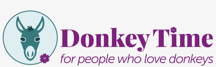 Donkey, transparent png #4531983