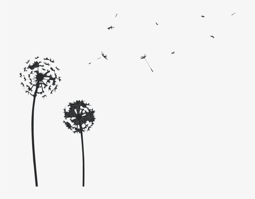 Dandelions Wall Decal Stickersstickers - Cow Parsley, transparent png #4532241