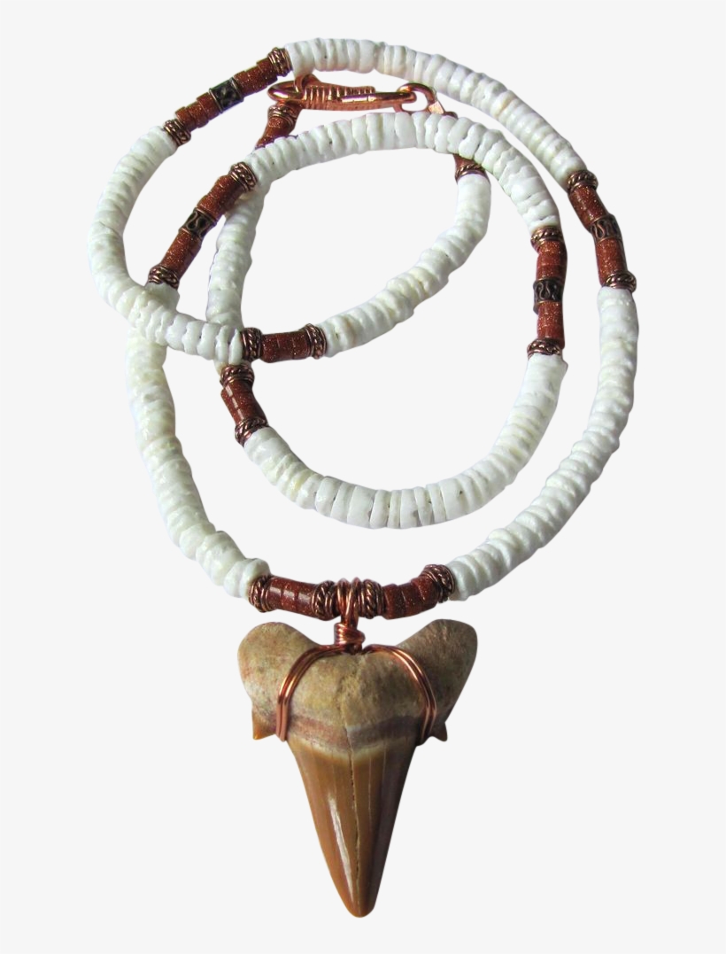 Large Sharks Tooth On White Shell Necklace With Goldstone - Shell Necklace, transparent png #4535000