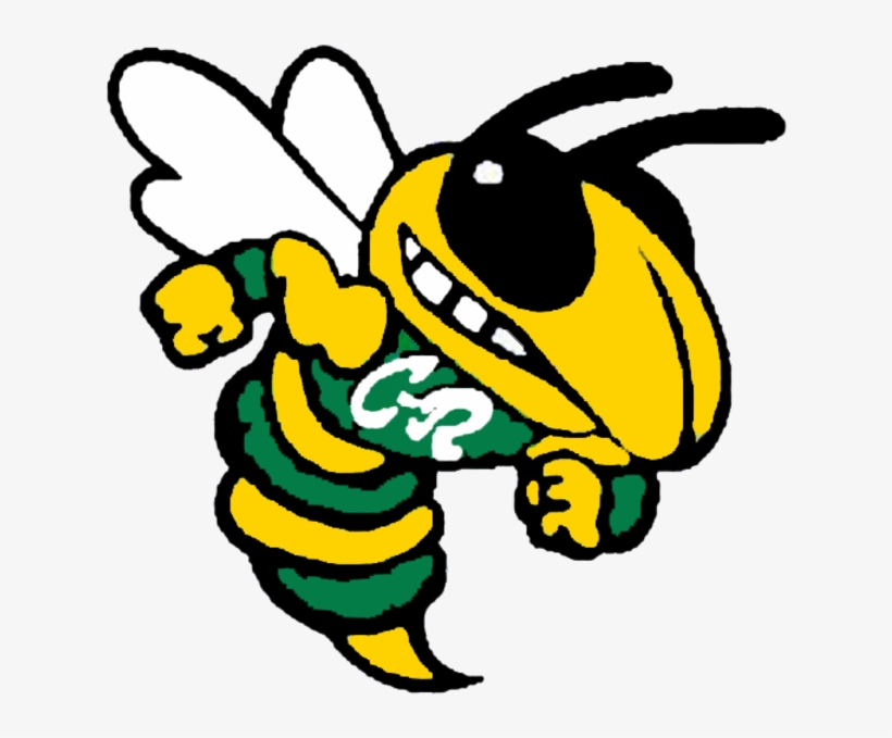 The Leipsic Vikings Defeat The Cory-rawson Hornets - Cory Rawson Hornets, transparent png #4535380