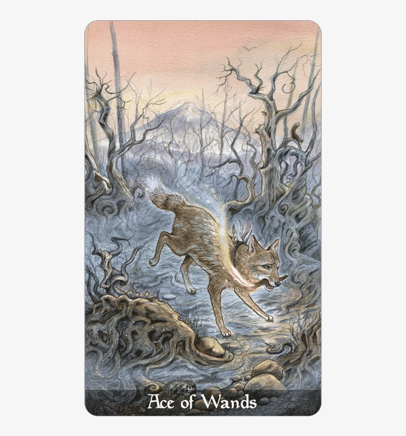 Ace Of Wands - Tarot, transparent png #4537274