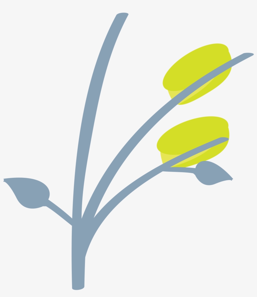 Open - Thumbnail, transparent png #4537400