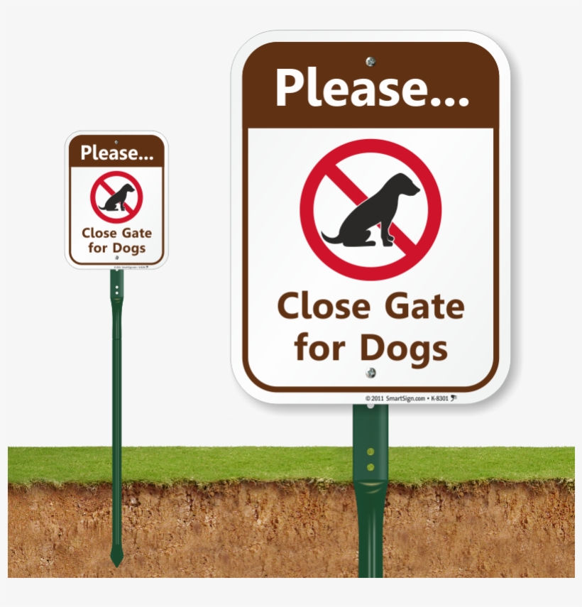 Zoom, Price, Buy - No Feed To Birds, transparent png #4537803