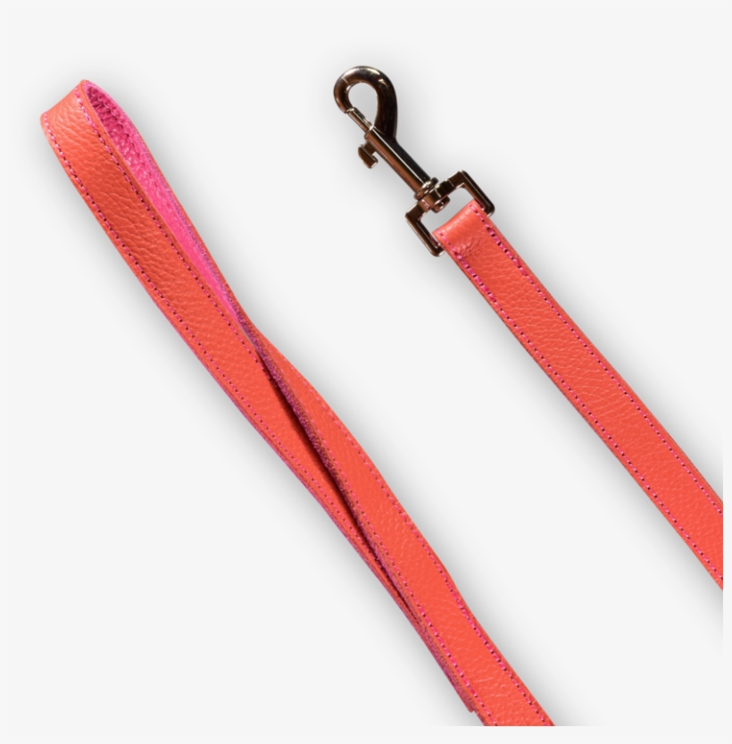 Dog Leash - Dog, transparent png #4538382