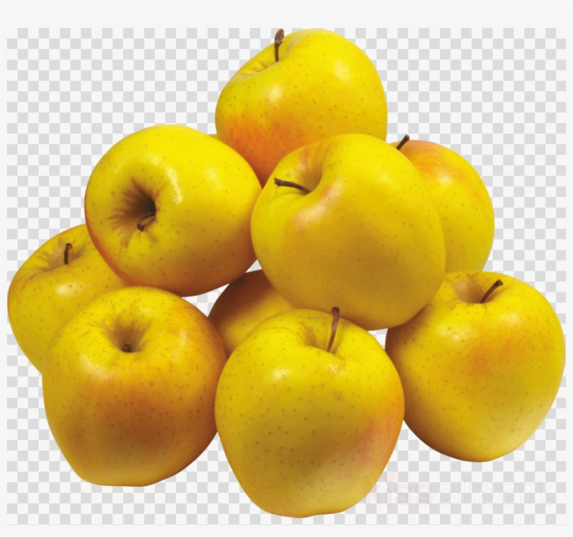 Download Yellow Apples Png Clipart Apple Apple Fruit - Yellow Apple Tree Organic Heirloom Seeds, transparent png #4540800