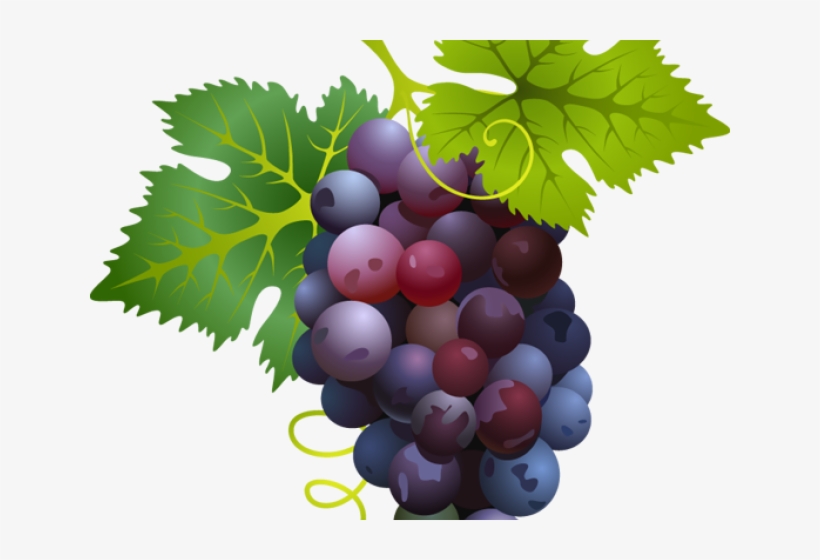 Cute Clipart Grape - Imagens De Primeira Eucaristia, transparent png #4540908