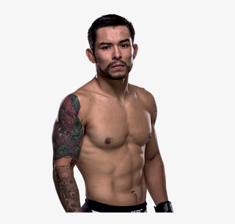 Biography, transparent png #4541252