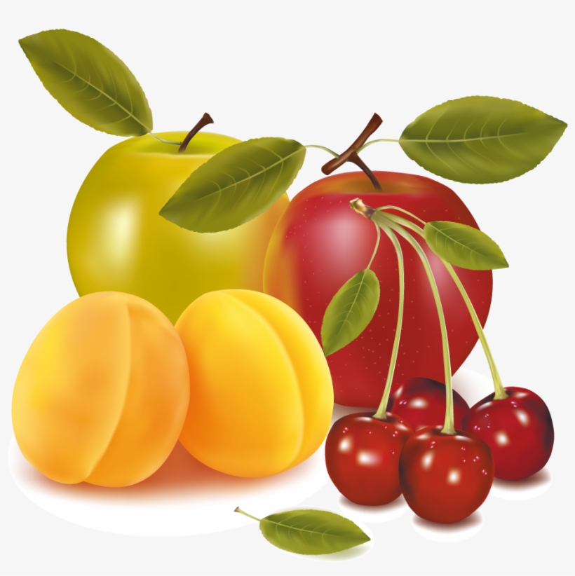 Apples - Cherries Apricots Apples Fruit Mugs, transparent png #4541391