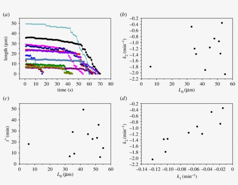 Results From Analysis Of Video Microscopy On The Dissipation - Diagram, transparent png #4541393