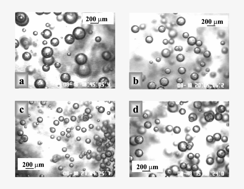 Typical Image Of Air Bubbles In - Circle, transparent png #4541602