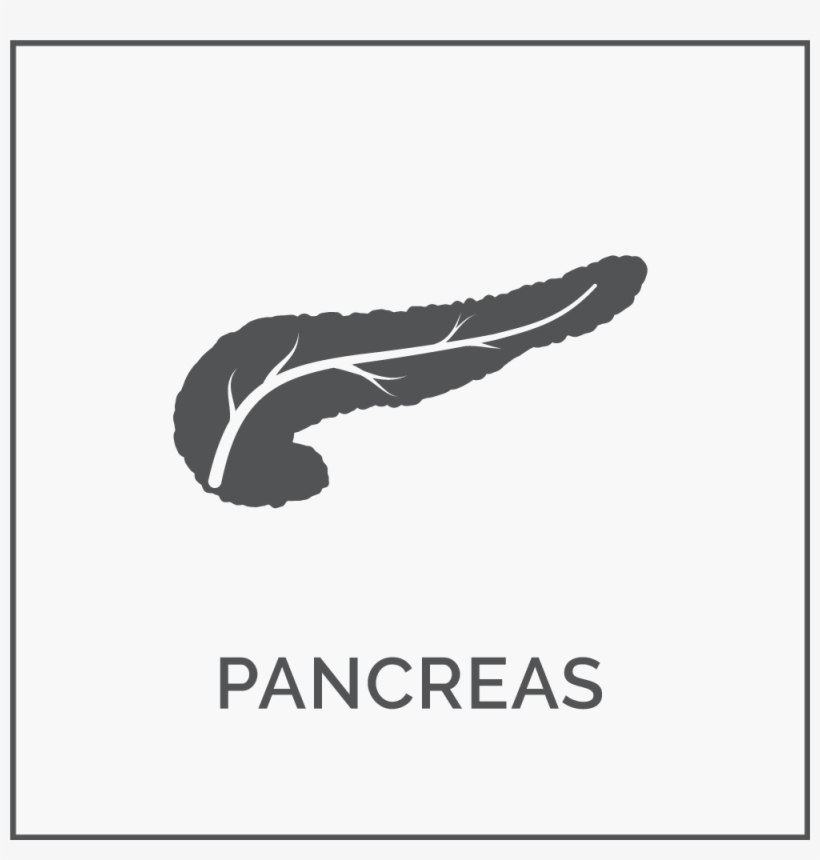 Pancreas - Darkness, transparent png #4545530