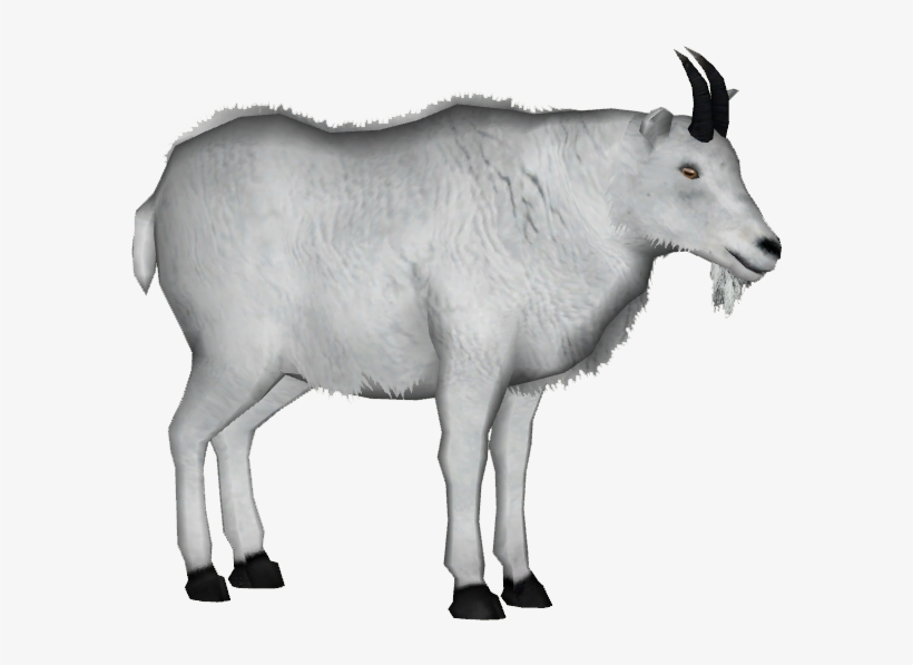 Mountain Goat Png - Rocky Mountain Goat Png, transparent png #4545596