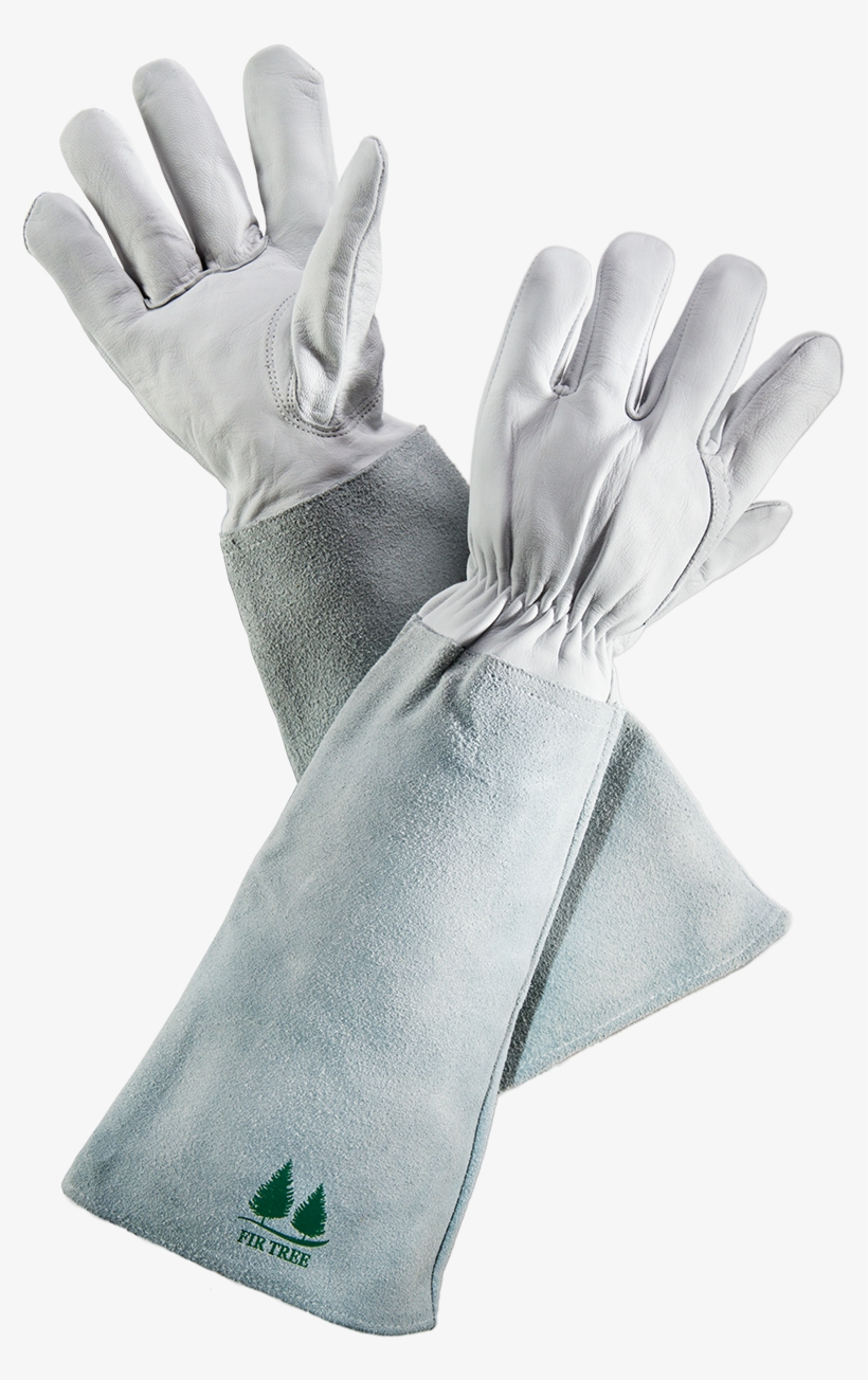Fir Tree Gauntlet V2 - Firtree Brand Leather Gardening Gloves By Fir Tree., transparent png #4545997