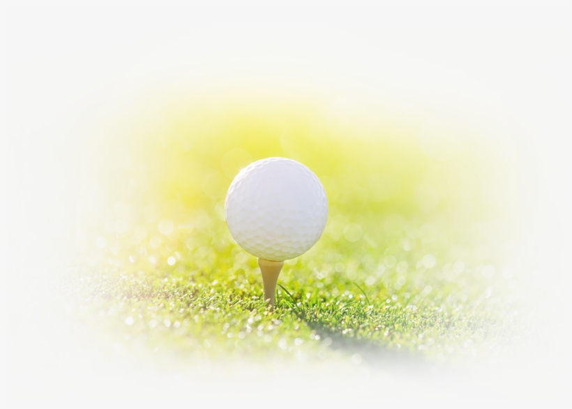 We've Been Successful Thanks To Awesome Content, A - Speed Golf, transparent png #4546412