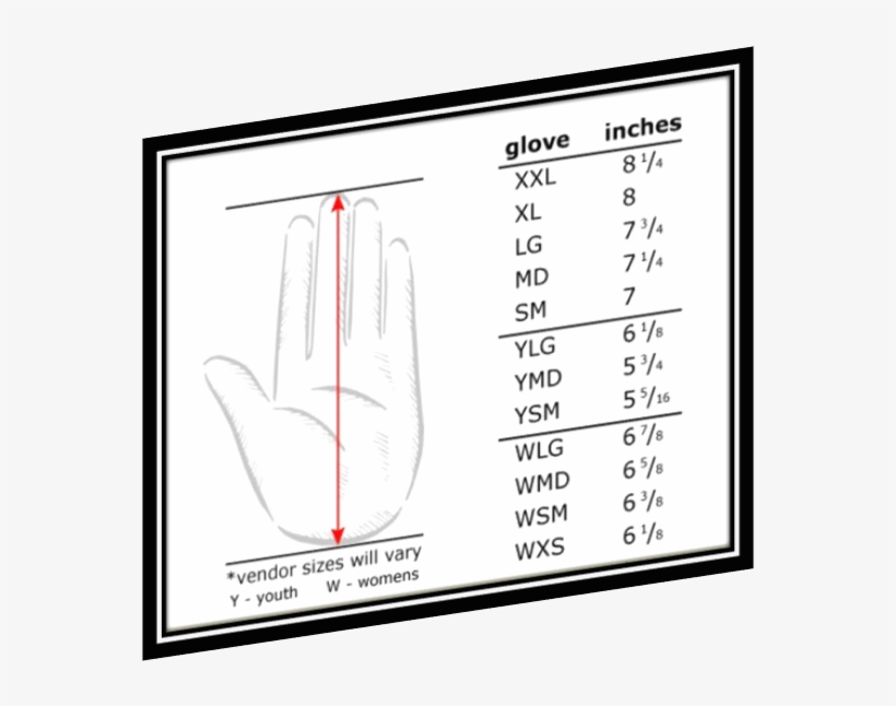 Measuring Batting Glove Sizes - May, transparent png #4546979