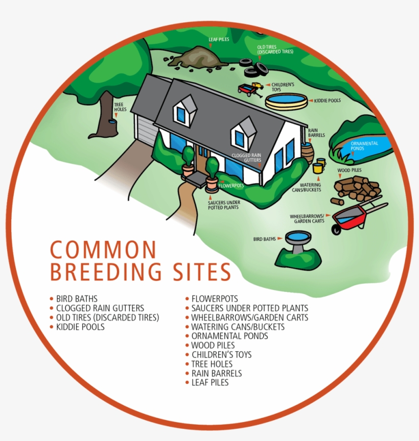 Breeding Areas Magnify - Breeding Site, transparent png #4549205