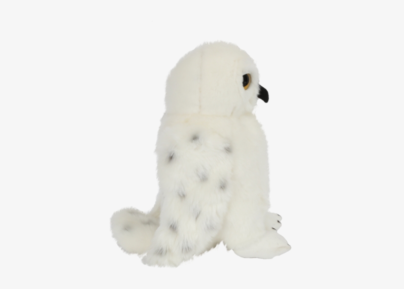 Stuffed Toy, transparent png #4549209