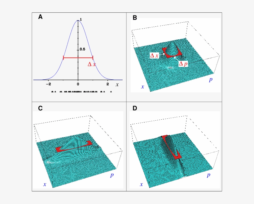 The Heisenberg Uncertainty Relation - Uncertainty Principle, transparent png #4549486