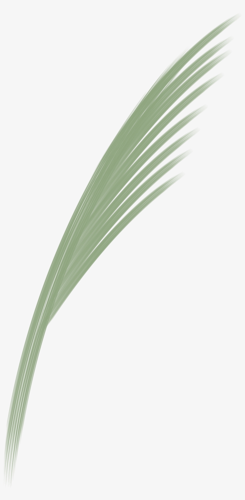 V0xyvzw - Sweet Grass, transparent png #4549562