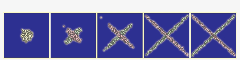 Interferometers Operating At Or Close To Quantum Limits - Starfish, transparent png #4549563