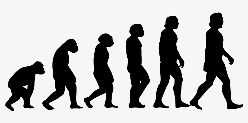 Karate Evolution, transparent png #4549799
