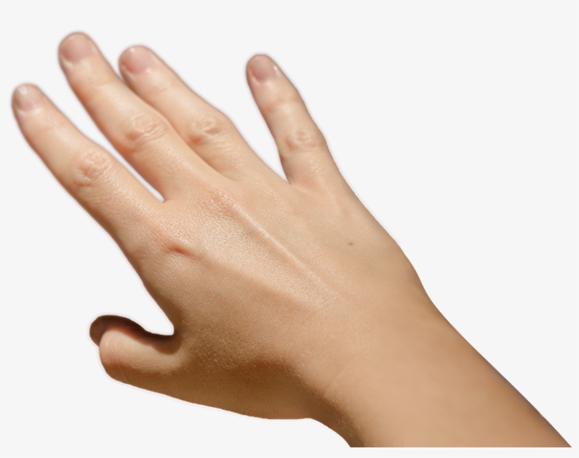 Hands Touching Png, transparent png #4551410
