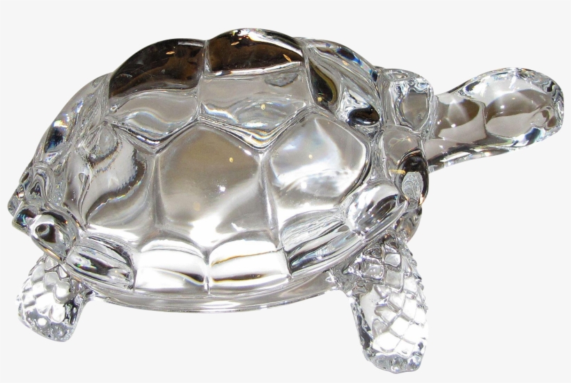 Turtle - Crystal Turtle Png, transparent png #4551752