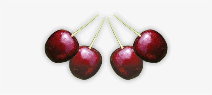 Cherry, transparent png #4552222