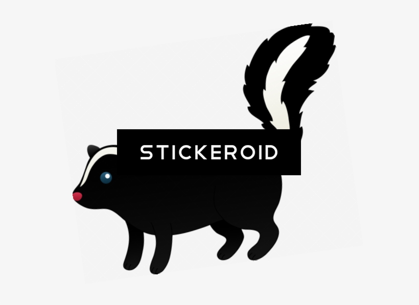 Skunk Animals - Illustration, transparent png #4552225