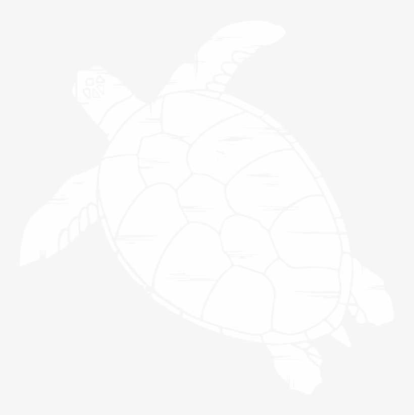Corporate Icon Jpg File Tortol Turtle White - Illustration, transparent png #4552361