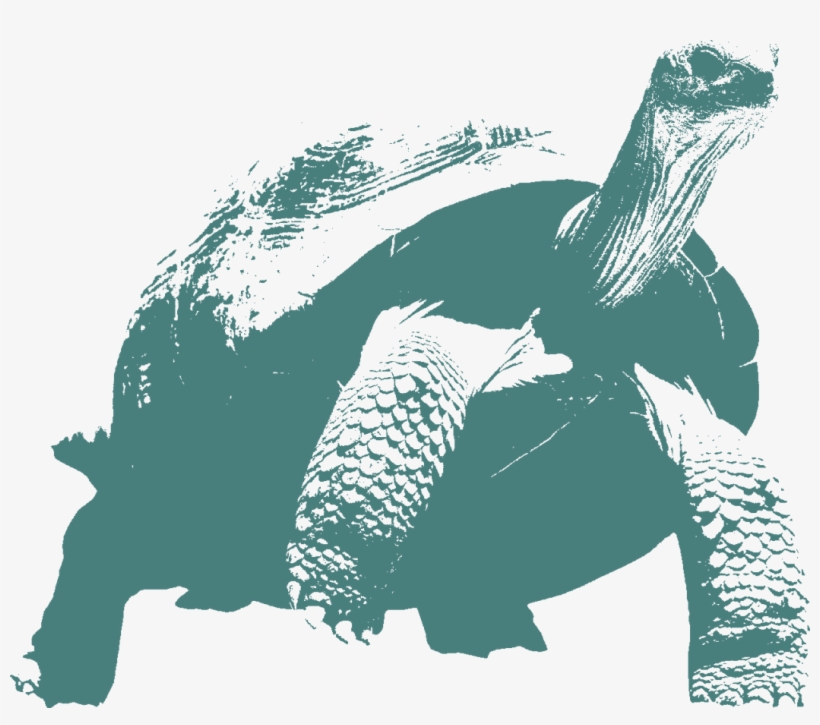 Operation - Illustration, transparent png #4552701