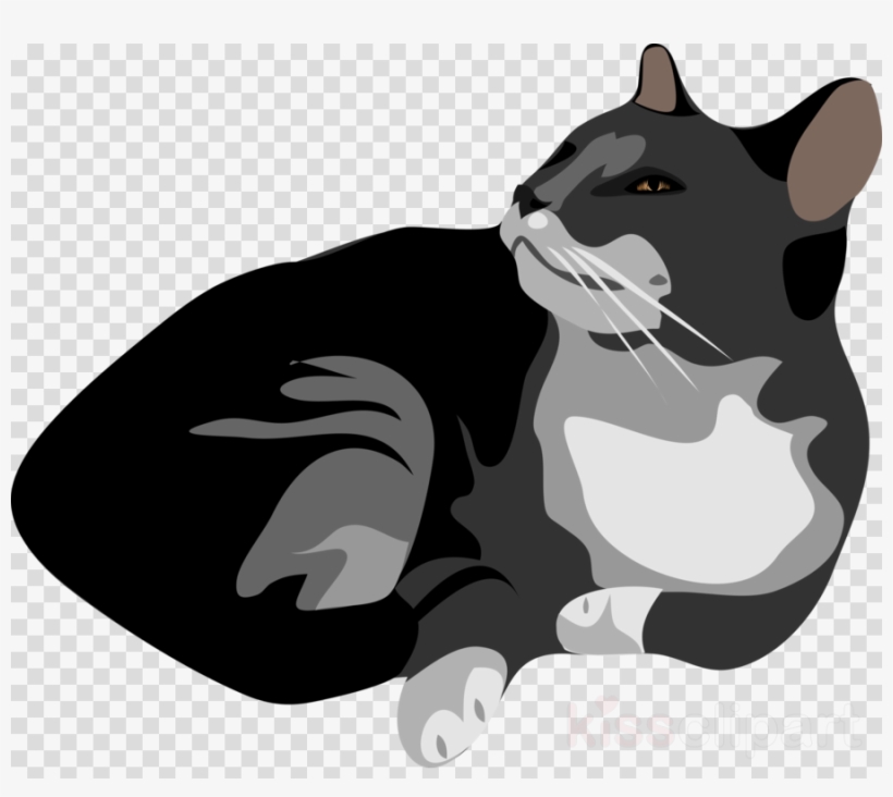 Download Grey And White Cat Ornament Clipart Kitten - Wanted Dead And Alive, transparent png #4552839