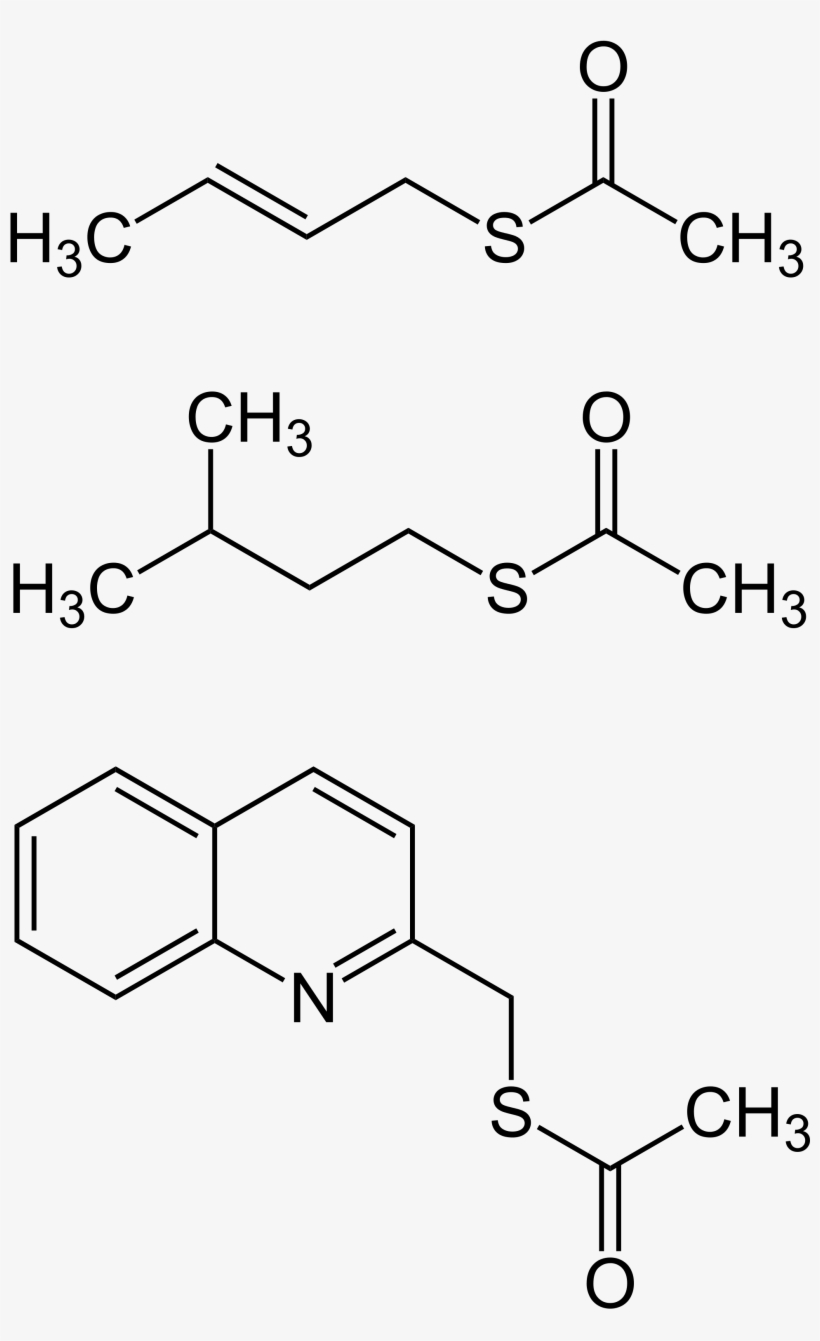Open - D Leucine, transparent png #4553016