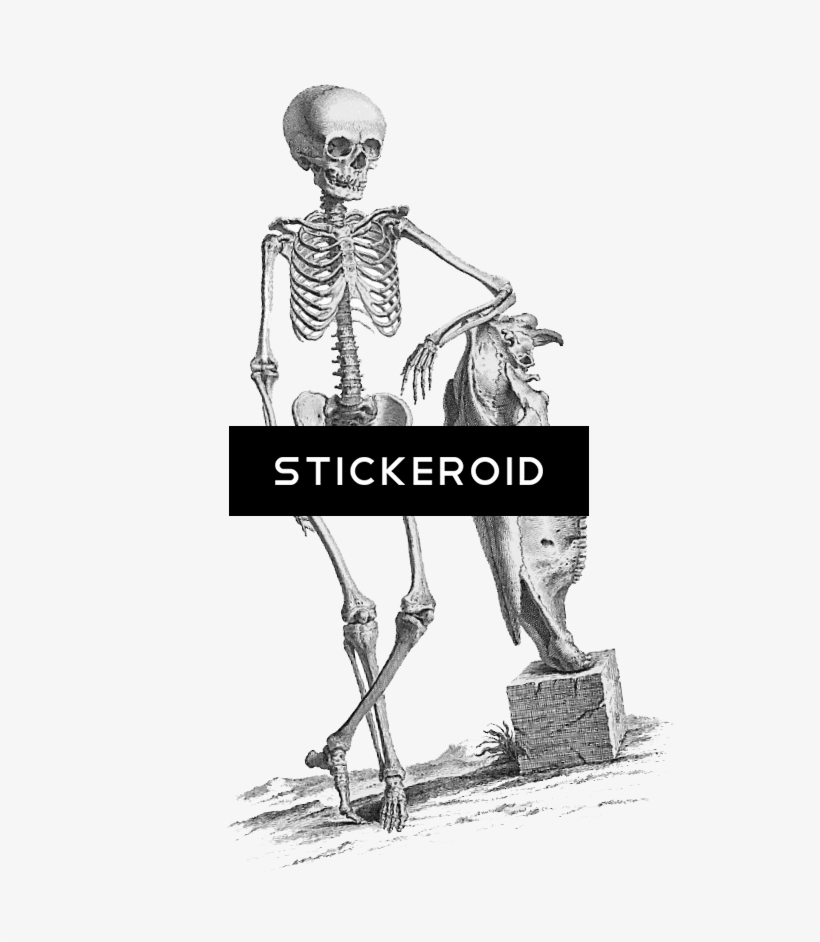 Halloween Skeleton - Giclee Painting: Science Source's Osteographia, 1733,, transparent png #4553378