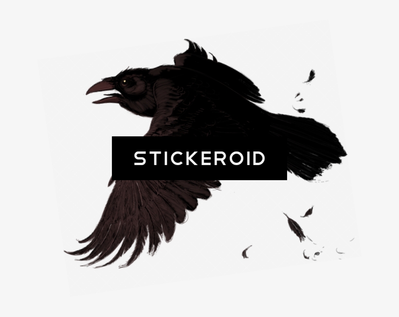 Raven - Portable Network Graphics, transparent png #4554383