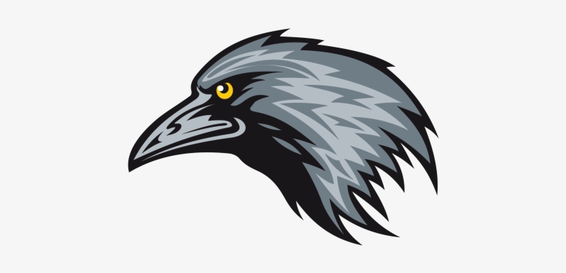Crow Clipart Crow Head - Raven Mascot Vector, transparent png #4554457