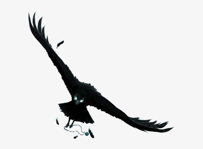 Raven Art Png - Anime Raven Animal, transparent png #4554710
