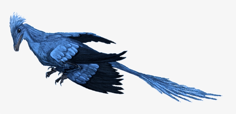 Microraptor Mmartyniuk True Colors - Small Microraptor, transparent png #4555137