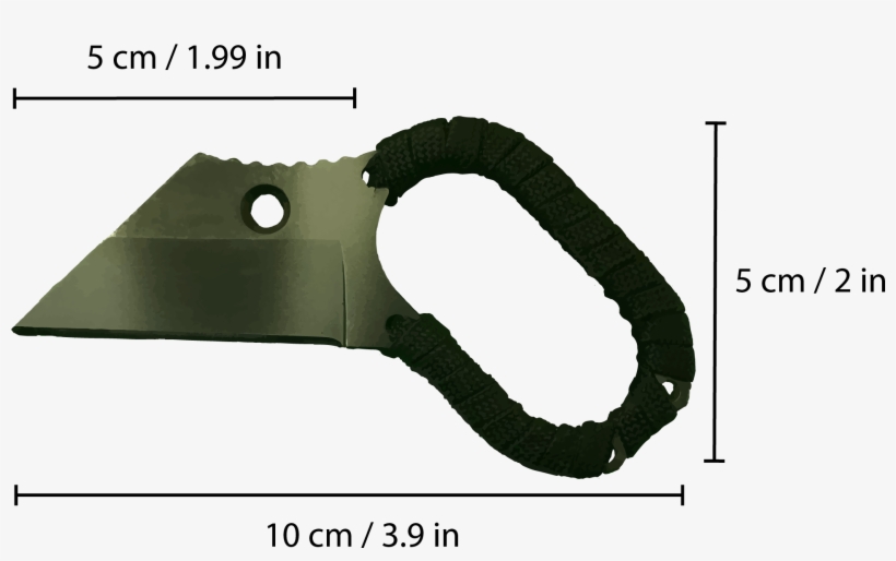 Tiger Striped Straight - Tiger, transparent png #4559811