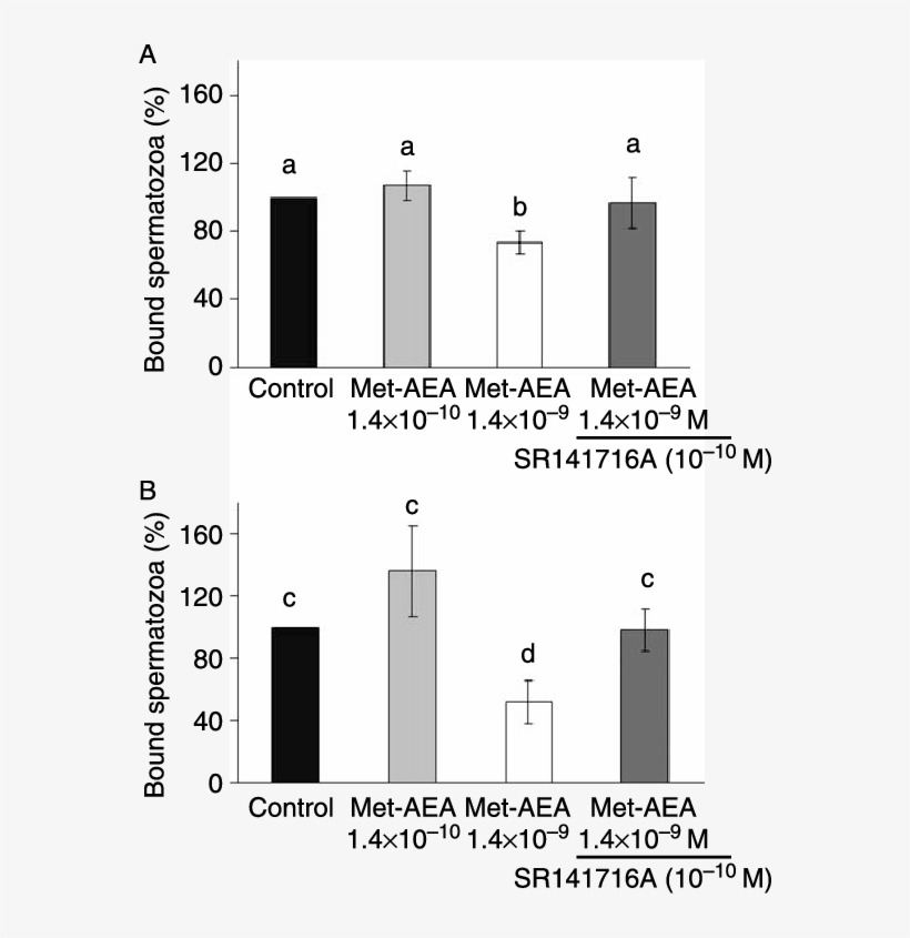 Experiment And Effect Of Met Aea Pre Treatment On Sperm - Sperm, transparent png #4561924