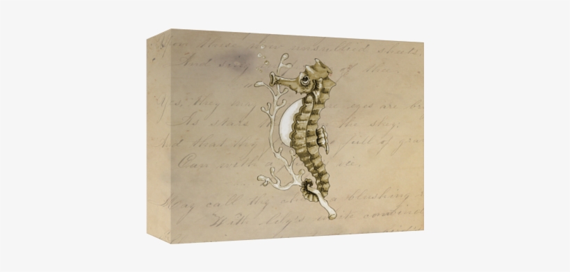 Old Fashioned Seahorse On Vintage Paper Background - Vintages Seepferd Fotodruck, transparent png #4563912