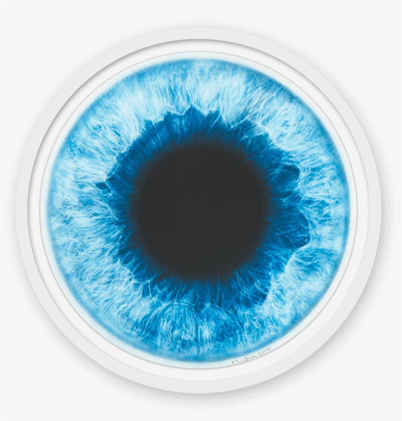 Marc Quinn - Art, transparent png #4565795