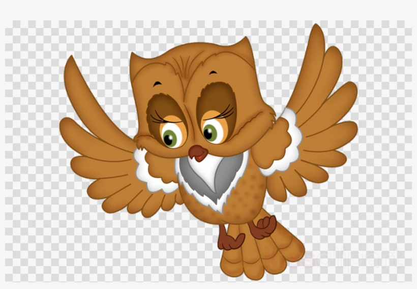 Best Gift - Irritable Owl Syndrome Hoodie/t-shirt/mug, transparent png #4566077