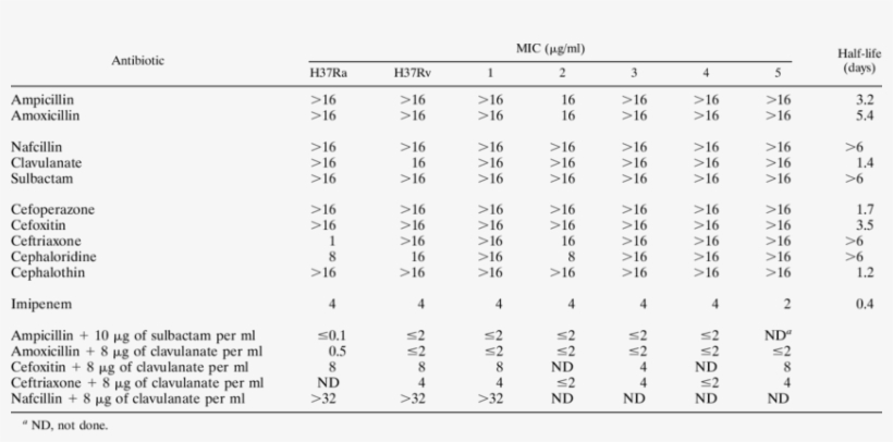 Beta Lactam Antibiotic Mics And Half Lives For M - Tabla De Tolerancias Iso, transparent png #4566135